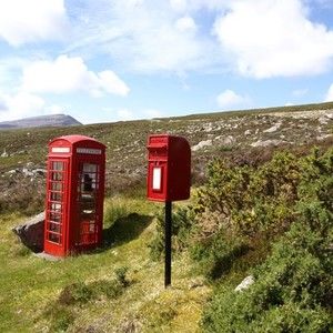 Meet your Posher, Darrell